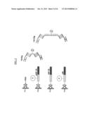 DETECTION OF A POSTTRANSLATIONALLY MODIFIED POLYPEPTIDE BY A BI-VALENT     BINDING AGENT diagram and image