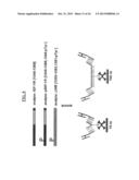 DETECTION OF A POSTTRANSLATIONALLY MODIFIED POLYPEPTIDE BY A BI-VALENT     BINDING AGENT diagram and image