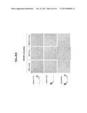 DETECTION OF A POSTTRANSLATIONALLY MODIFIED POLYPEPTIDE BY A BI-VALENT     BINDING AGENT diagram and image