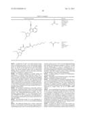 DETECTION OF A POSTTRANSLATIONALLY MODIFIED POLYPEPTIDE BY A BI-VALENT     BINDING AGENT diagram and image