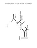 DETECTION OF A POLYPEPTIDE DIMER BY A BIVALENT BINDING AGENT diagram and image