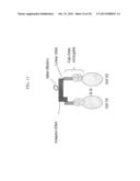 DETECTION OF A POLYPEPTIDE DIMER BY A BIVALENT BINDING AGENT diagram and image