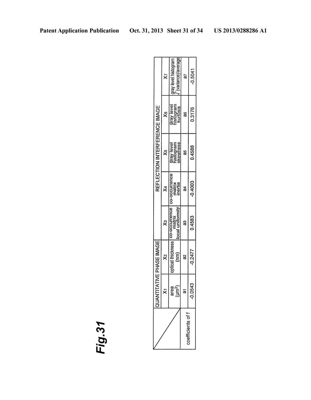 CELL OBSERVATION DEVICE AND CELL OBSERVATION METHOD - diagram, schematic, and image 32