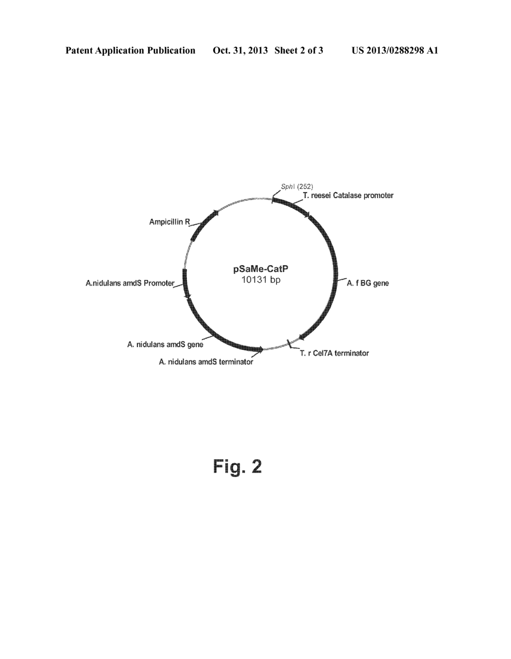 Promoters for Expressing Genes in a Fungal cell - diagram, schematic, and image 03