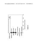 CYTOCHROME P450 OXYGENASES diagram and image