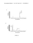 CYTOCHROME P450 OXYGENASES diagram and image