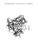 CYTOCHROME P450 OXYGENASES diagram and image