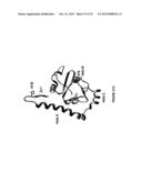 CYTOCHROME P450 OXYGENASES diagram and image