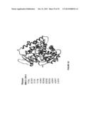 CYTOCHROME P450 OXYGENASES diagram and image