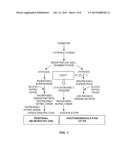 VISIBLE LIGHT MODULATION OF MITOCHONDRIAL FUNCTION IN HYPOXIA AND DISEASE diagram and image