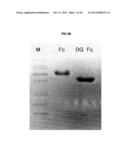 PROTEIN COMPLEX USING AN IMMUNOGLOBULIN FRAGMENT AND METHOD FOR THE     PREPARATION THEREOF diagram and image