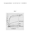 PROTEIN COMPLEX USING AN IMMUNOGLOBULIN FRAGMENT AND METHOD FOR THE     PREPARATION THEREOF diagram and image