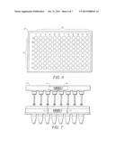 BIOLOGICAL SAMPLE HOLDER AND METHOD OF ASSEMBLING A STORAGE DEVICE diagram and image