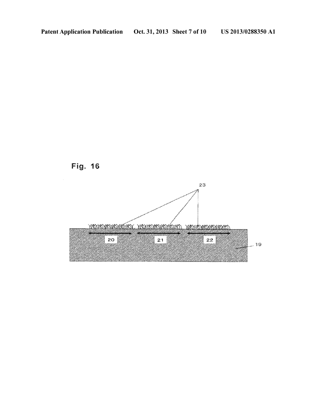 SENSOR - diagram, schematic, and image 08