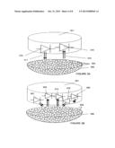 Cell Line, System and Method for Optical-Based Screening of Ion-Channel     Modulators diagram and image