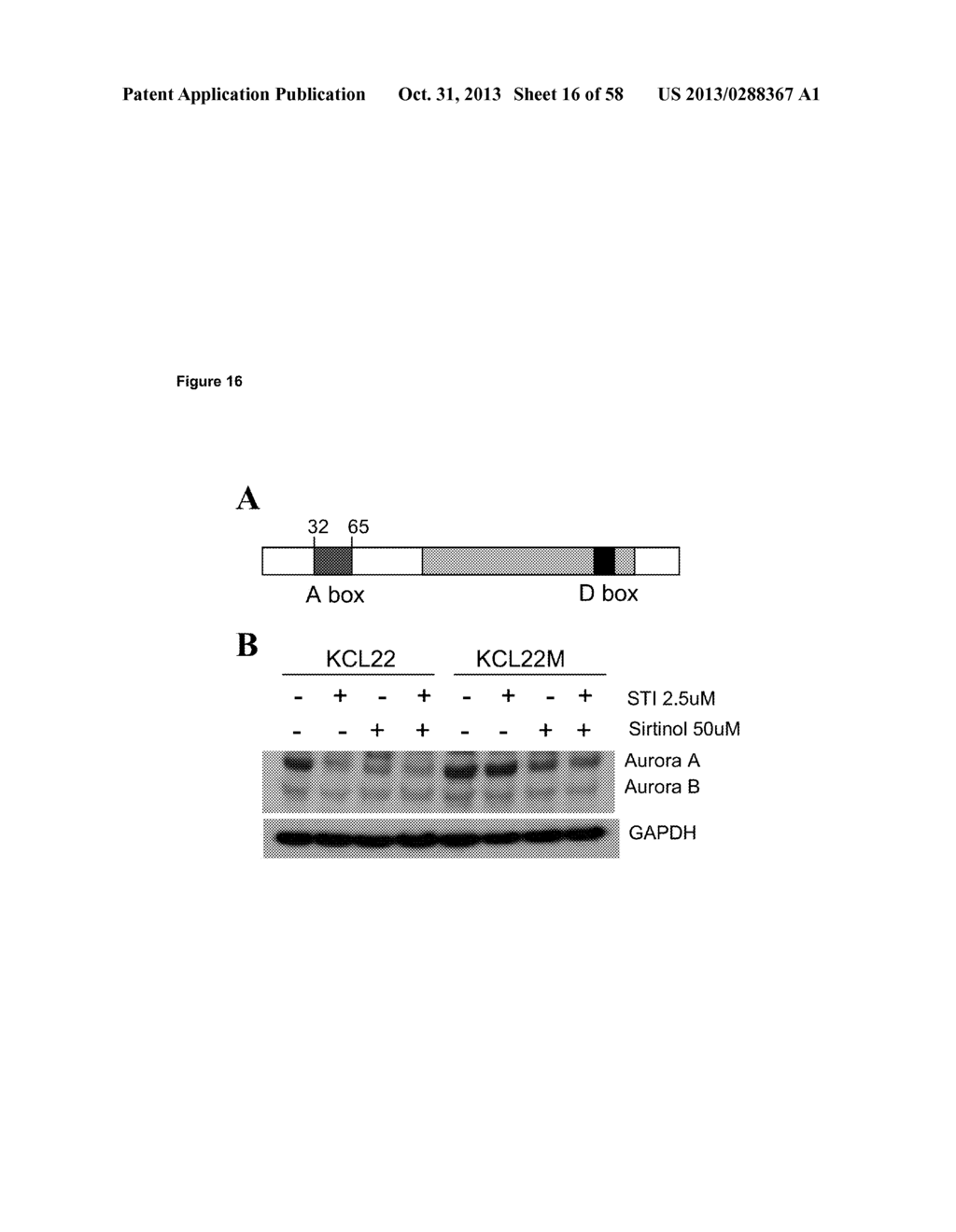 CELL CULTURE MODEL FOR ACQUIRED CHEMORESISTANCE OF CHRONIC MYELOGENOUS     LEUKEMIA AND RELATED METHODS FOR IDENTIFYING AGENTS TO OVERCOME     RESISTANCE - diagram, schematic, and image 17