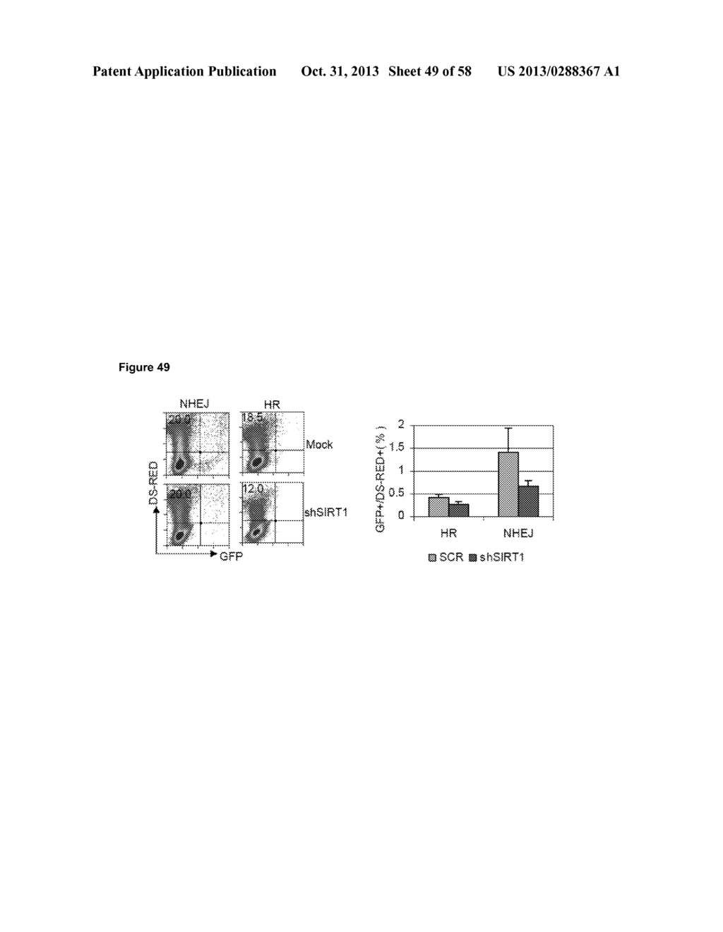 CELL CULTURE MODEL FOR ACQUIRED CHEMORESISTANCE OF CHRONIC MYELOGENOUS     LEUKEMIA AND RELATED METHODS FOR IDENTIFYING AGENTS TO OVERCOME     RESISTANCE - diagram, schematic, and image 50