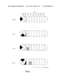 EXERCISE SUPPORT DEVICE, PROGRAM, EXERCISE SUPPORT SYSTEM, AND MOTION     DETECTION DEVICE diagram and image