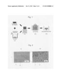 Sic ceramic material, sic ceramic structure, and their fabrication methods diagram and image