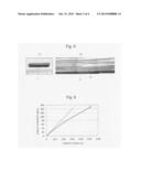 Sic ceramic material, sic ceramic structure, and their fabrication methods diagram and image