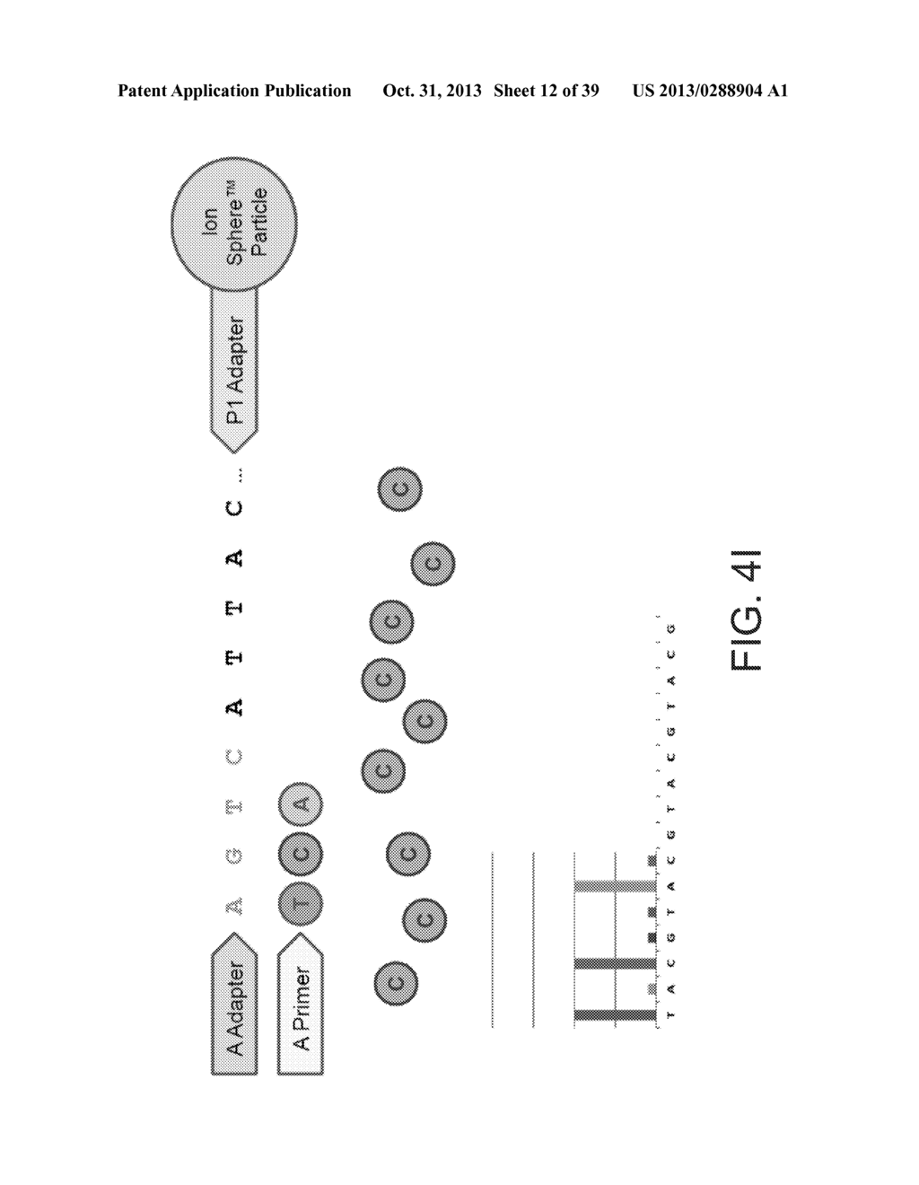 PHASE-PROTECTING REAGENT FLOW ORDERINGS FOR USE IN SEQUENCING-BY-SYNTHESIS - diagram, schematic, and image 13