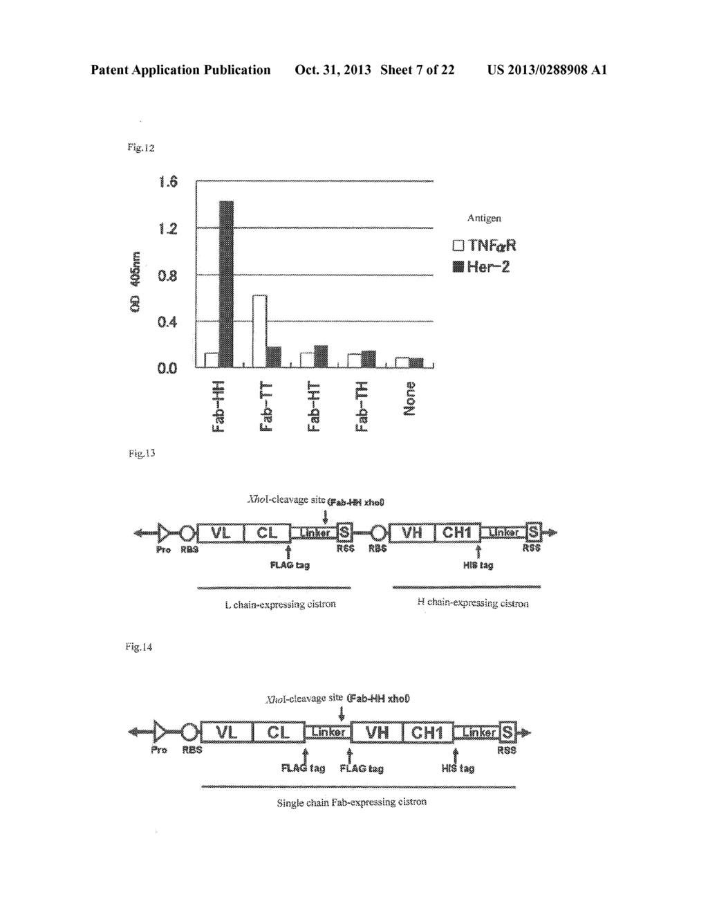 POLYNUCLEOTIDE CONSTRUCT CAPABLE OF DISPLAYING FAB IN A CELL-FREE     TRANSLATION SYSTEM, AND METHOD FOR MANUFACTURING AND SCREENING FAB USING     SAME - diagram, schematic, and image 08