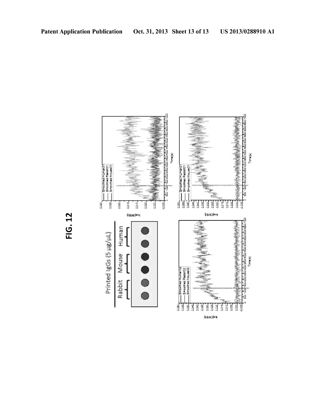 METHODS AND SYSTEMS FOR GENERATING, VALIDATING AND USING MONOCLONAL     ANTIBODIES - diagram, schematic, and image 14