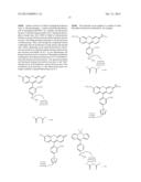 FLUOROGENIC HYDRAZINE-SUBSTITUTED COMPOUNDS diagram and image