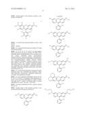 FLUOROGENIC HYDRAZINE-SUBSTITUTED COMPOUNDS diagram and image