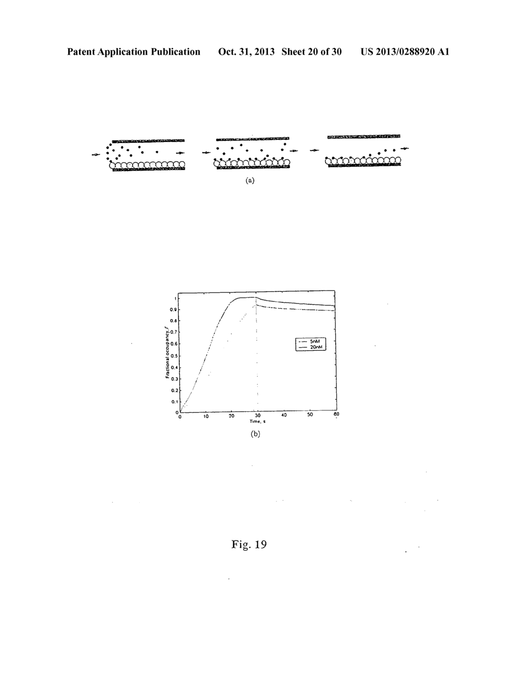 MULTIANALYTE MOLECULAR ANALYSIS USING APPLICATION-SPECIFIC RANDOM PARTICLE     ARRAYS - diagram, schematic, and image 21