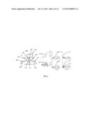 Nucleotide-Based Probes and Methods for the Detection and Quantification     of Macromolecules and Other Analytes diagram and image