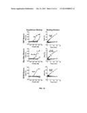 Nucleotide-Based Probes and Methods for the Detection and Quantification     of Macromolecules and Other Analytes diagram and image