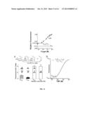 Nucleotide-Based Probes and Methods for the Detection and Quantification     of Macromolecules and Other Analytes diagram and image