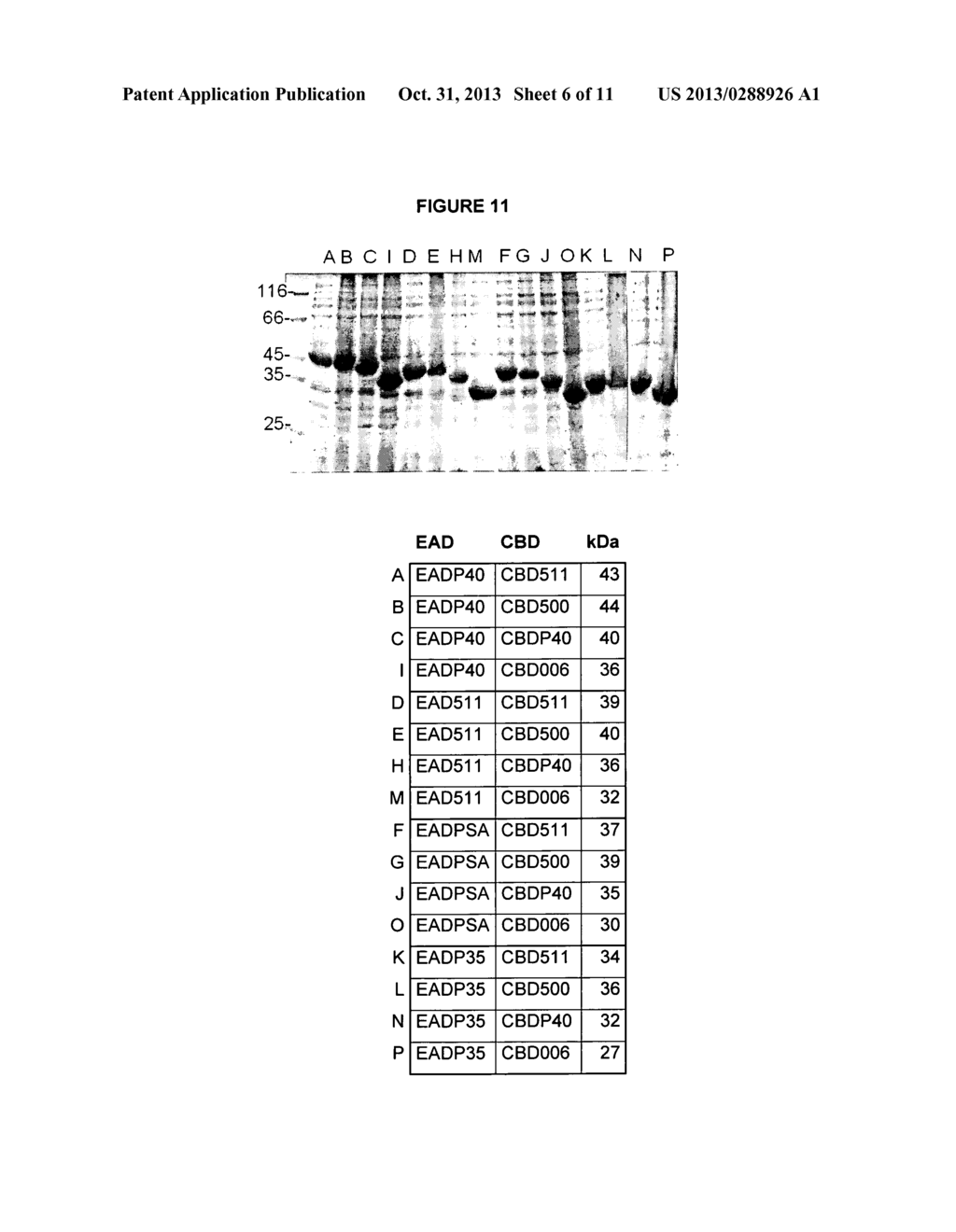 METHODS OF GENERATING AND SCREENING FOR LYTIC CHIMERIC POLYPEPTIDES - diagram, schematic, and image 07