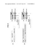 ESTABLISHMENT OF MOTIF COMPRISING ACIDIC AMINO ACID, CAPABLE OF     STABILIZING PROTEIN IN CELLS, AND APPLICABLE TO PROTEIN THERAPY, CONTROL     OF DIFFERENTIATION/UNDIFFERENTIATION OF CELL AND ANTIBODY THERAPY diagram and image