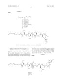 BLOCK COPOLYMERS FOR STABLE MICELLES diagram and image