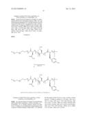 BLOCK COPOLYMERS FOR STABLE MICELLES diagram and image