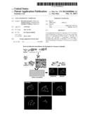 ANTI-ANGIOGENIC COMPOUND diagram and image