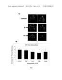 ANTI-ANGIOGENIC COMPOUND diagram and image