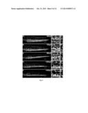 CHEMICAL INHIBITORS OF CHOLESTEROL BIOSYNTHESIS AND VENOUS ANGIOGENESIS diagram and image