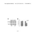 CHEMICAL INHIBITORS OF CHOLESTEROL BIOSYNTHESIS AND VENOUS ANGIOGENESIS diagram and image