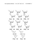 ANTISENSE ANTIBACTERIAL METHOD AND COMPOUND diagram and image