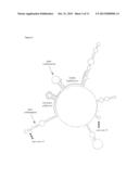 Oligomers diagram and image