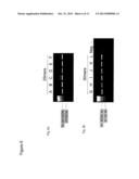 Oligomers diagram and image