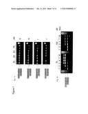 Oligomers diagram and image