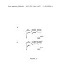 SUBUNIT-SELECTIVE NUCLEIC ACID INHIBITORS OF GLUTAMATE RECEPTORS diagram and image