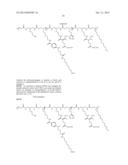 MEMBRANE LYTIC POLY(AMIDO AMINE) POLYMERS FOR THE DELIVERY OF     OLIGONUCLEOTIDES diagram and image