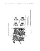 Bioabsorbable Polymeric Compositions and Medical Devices diagram and image