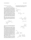 Cyclin Based Inhibitors of CDK2 and CDK4 diagram and image