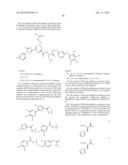 Cyclin Based Inhibitors of CDK2 and CDK4 diagram and image